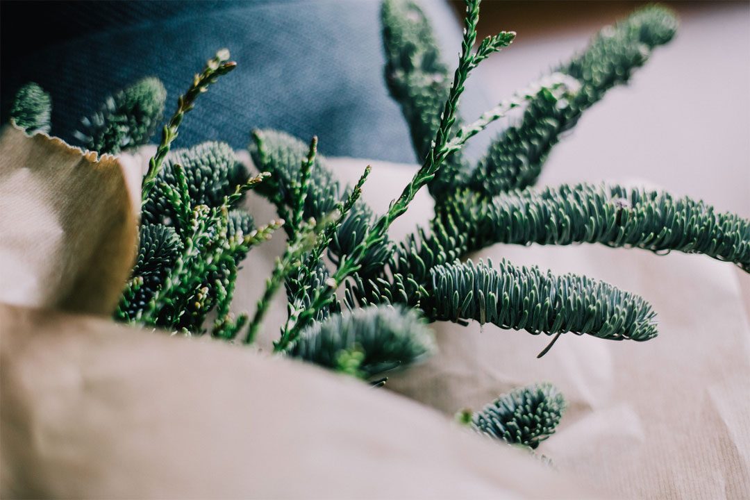 This is a gallery image caption.